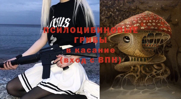 стафф Горнозаводск