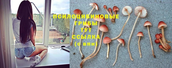 хмурый Горняк